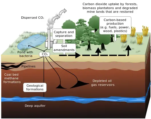Schematic showing both terrestrial and geological sequestration of carbon dioxide emissions from a coal-fired plan