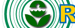 region 3 logo.gif (4514 bytes)