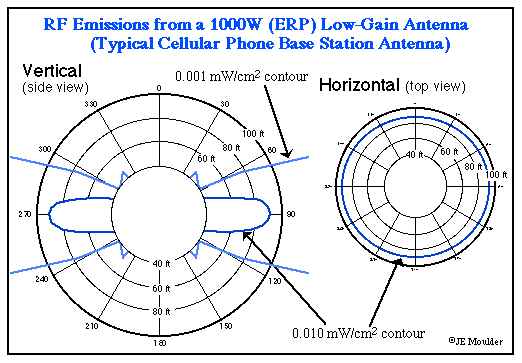 RF Emissions from a 1000 W ERP Low-Gain Antenna