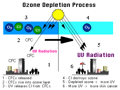 [Schematic of the ozone depletion process, steps 1-6]