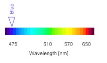 Blue light spectrum