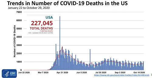 Number of COVID-19 Deaths in the US January 2020 to Otcober 2020
